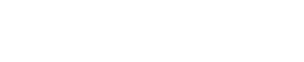 adjustable beds and chairs